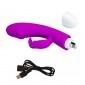 Pretty Love G-spot Rechargeable Rabbit Vibrator