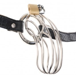 Fetish Fantasy Extreme The Prisoner Cock Cage