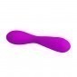 Nigel G-Spot Rechargeable Vibrator 30 Function