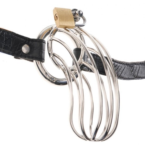 Fetish Fantasy Extreme The Prisoner Cock Cage