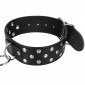 Fetish Tentation Studded Collar and Lead