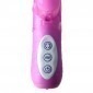 Premium Range Rabbit Dual Pleasure Vibrator