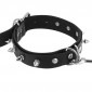 Fetish Tentation D-ring Collar and Lead