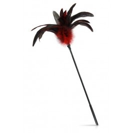 Naughty Teasing Feather - Red 