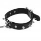 Fetish Tentation D-ring Collar and Lead