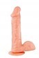 Real Jayson 7 Inch Realistic Dildo